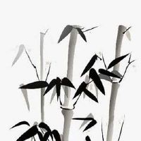 租赁公司取名字大全 象征美好招财的企业起名