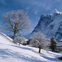 2019年11月15日出生的男孩名称如何，五个元素是什么？