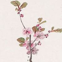 正月二十七禁忌什么 特色传统食俗盘点