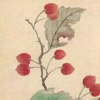 土特产商标名称大全 公司取名简单霸气