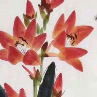 什么是豹子号 选择招财车牌号码事宜