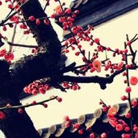 出生日期决定寿命 什么时候出生更长寿