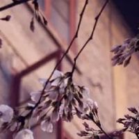 天生有福气的出生时辰 亥时生人享清福