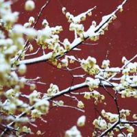 农历生日看一生财运 财运最好的农历生日