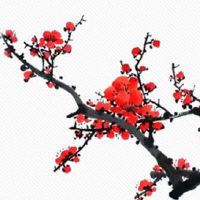 怎么看夫妻宫合不合 夫妻合婚重要看法是哪个