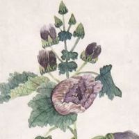 2022年正月二十六日子怎么样 是阳历几月几号