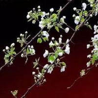 新房装修风水上注意哪些事项 选对色彩可提升运势