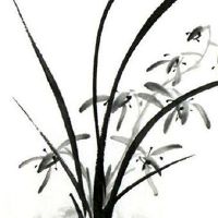 注册农业服务有限公司 最新企业取名霸气好听