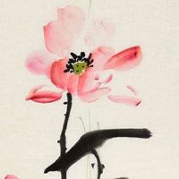 农历正月二十八是什么神仙的日子 棉花生日占卜棉花