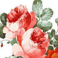 正月三十出生的人很特殊 正月三十出生有什么说法