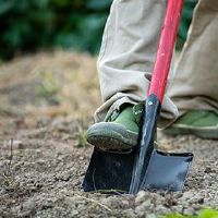 2022 寅 寅 年 年 三 三 三 三 三 三 三 三 三 三 三 三 三 三 三 三 三 三 三 三 三 三 三 三 三 三 三 三 三 三 三 三 三 三 三 三 三 三 三 三 三 三 三 三 三 三 三 三 三 三 三 三 三 三 三 三 三 三 三 三 三 三 三 三 三 三 三 三 三 三