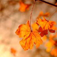 2022年4月28日的月历这一天的黄历应该出来吗？