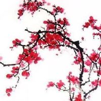 成都车牌30选1技巧 自助车牌号选择旺运号码