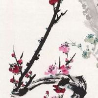 三个3豹子号车牌多少钱 车牌大吉大利的招财顺号