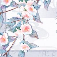 拿钱·额外的祝福，常见性，人民，2022，最好的黄道带