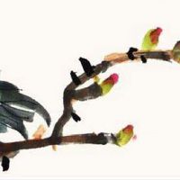 2022年春分节气温度是多少 降雨增多全球回暖