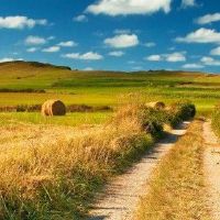 如何改善山火中人民的财富