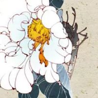 开网店的店铺名称大全 新店取洋气有创意名字