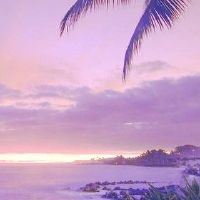 如何改善沙中金的人民的财富