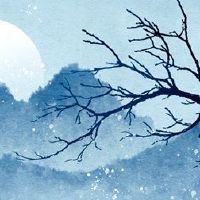 2022龙抬头时，她头发剪理发