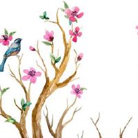 本命年忌星需要注意什么 忌星怎么忌