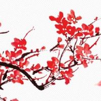 夫妻宫的夫妻宫 八字夫妻宫暗合表示什么