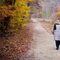 死亡的标志是什么？