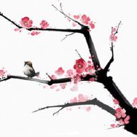 龙抬头小孩子理发 民间最盛行的风俗活动