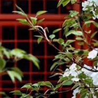 农历几日出生大富大贵 初一生人事业顺利