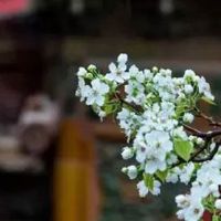 哪天出生的人上吉好命 初十出生注定富贵