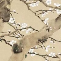 适合农业公司名字大全及寓意 招财的公司取名