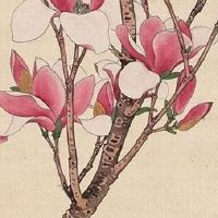 农贸市场品种大全 最新公司精选好名字