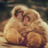 92岁的婚姻婚姻是如何92年的婚姻？