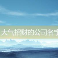大气招财的公司名字