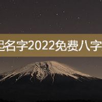 公司起名字2022免费八字起名