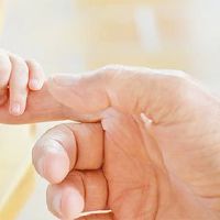 3月份鼠标的人如何？这是美好的生活吗？