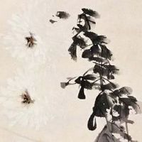 三连车牌号大概多少钱 出行最旺运号码数字