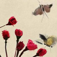 1976年属龙女人在2022年怎么样 虎年收获颇多