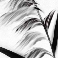 1976年属龙的人五行属什么 是什么命