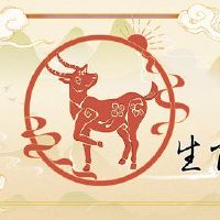 绵羊女孩出生在几个月内，富裕而富有。