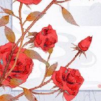 桃花牌标志2022小桃花升起的黄道带