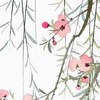 2022年龙抬头适合领证吗 领证必备材料盘点