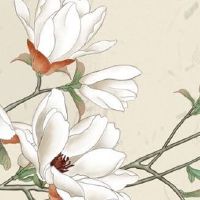 十个簸箕穷一辈子吗 什么手相是穷命