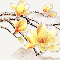 戴大日如来的禁忌 佩戴此物有什么讲究