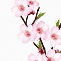 木命手机号码44444 顺口吉祥的号码靓号