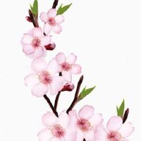 木命手机号码不能选什么 五行选旺运号码秘籍