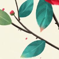 2022年5月29日提车好吗 农历四月二十八是上牌日子吗