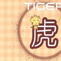 2022人民人民的角色分析是什么？