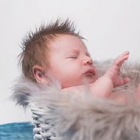 2022年，夏天出生的男孩被命名。老虎的名字是什么？