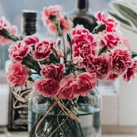 2022年5月4日寒食节订婚定亲好吗 今日黄历宜忌